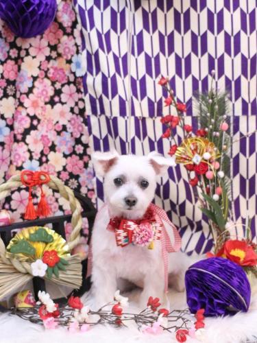 20250126ヒメちゃん